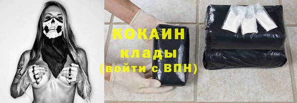 крисы Балахна