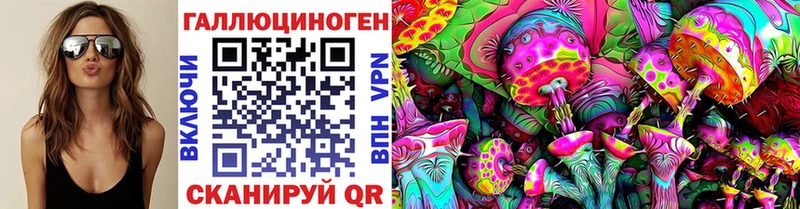 Галлюциногенные грибы Psilocybe  купить наркотики сайты  Красный Холм 